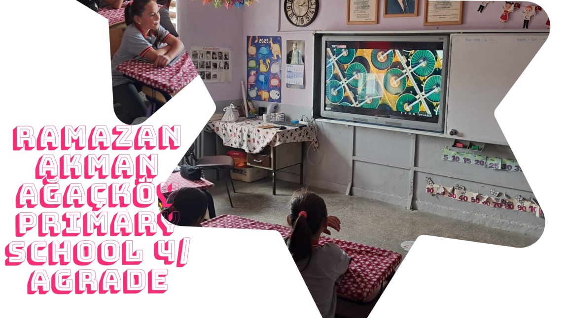 E TWİNNİNG Su Muhafızları Projemizin Faaliyetleri